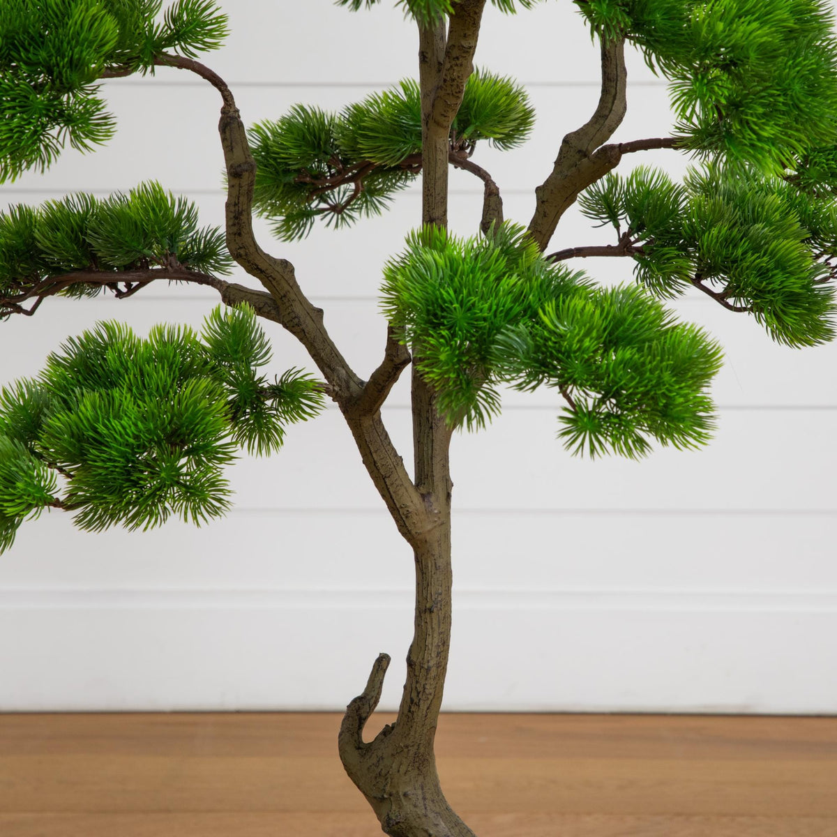 a small tree with green leaves