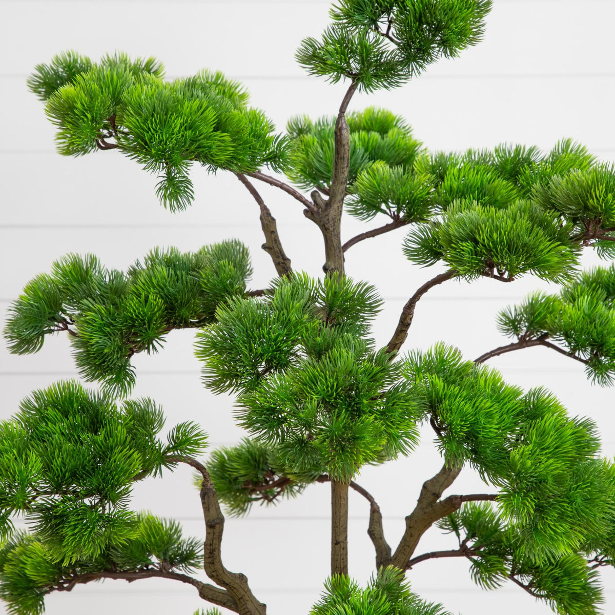a tree with green leaves