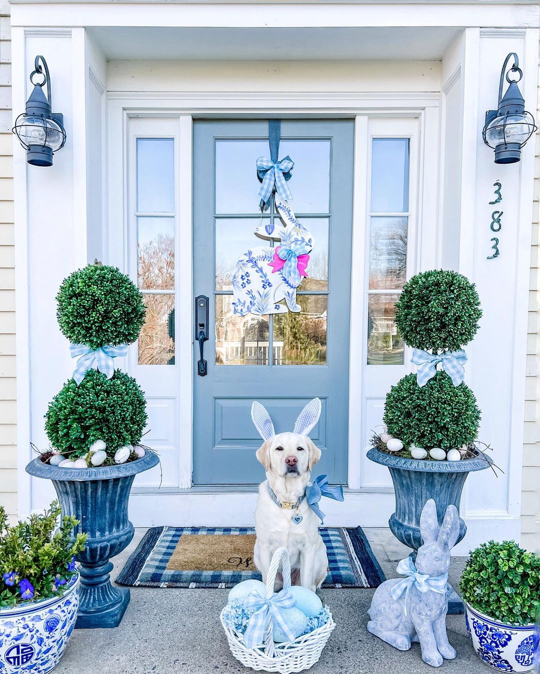 a dog sitting in front of a door