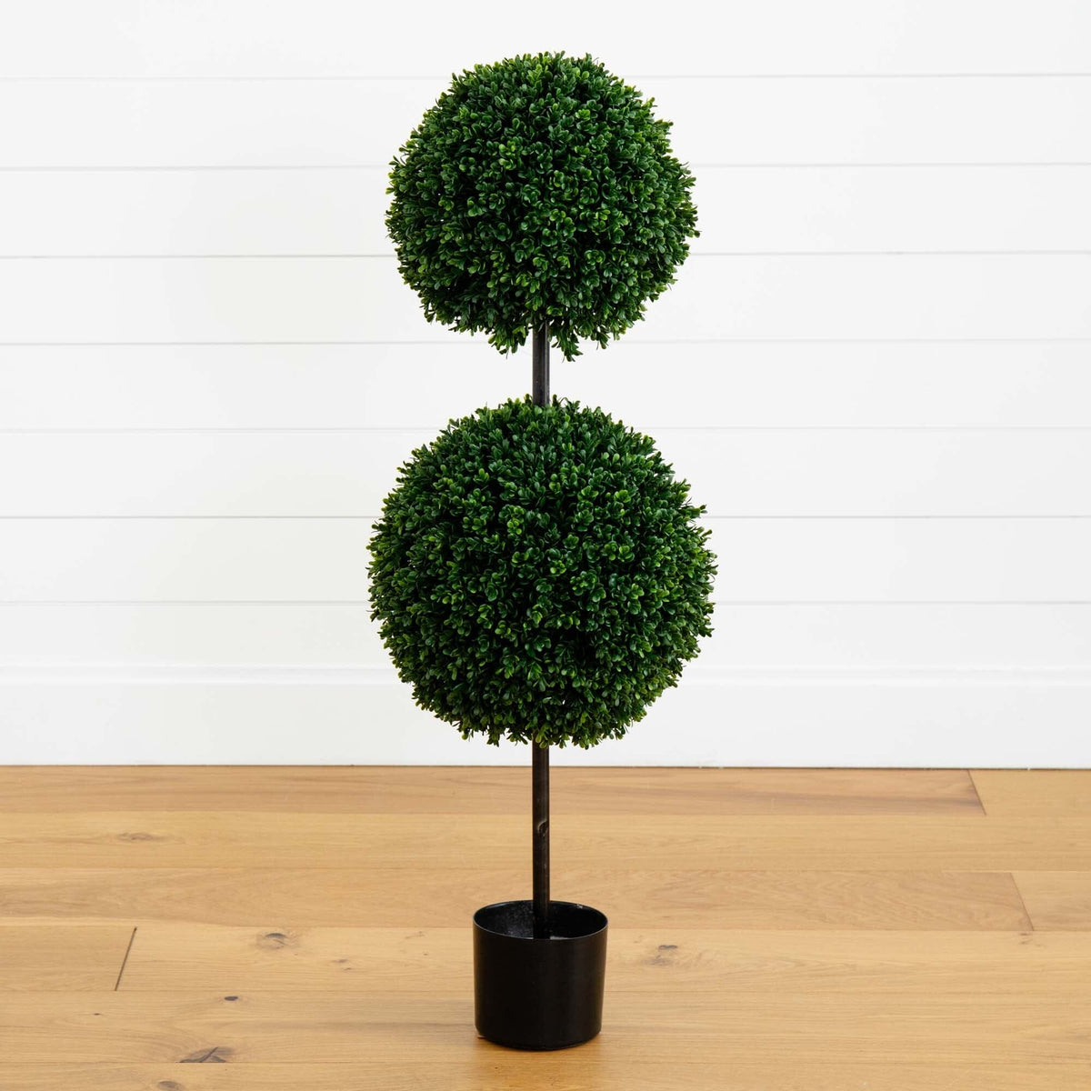a plant in a pot