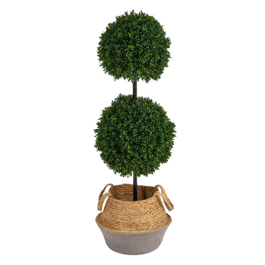a plant in a basket