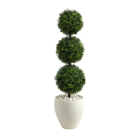 a plant in a pot