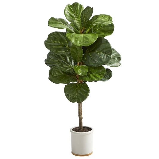 a potted plant with large leaves