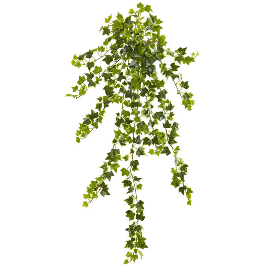 a green leaves on a branch