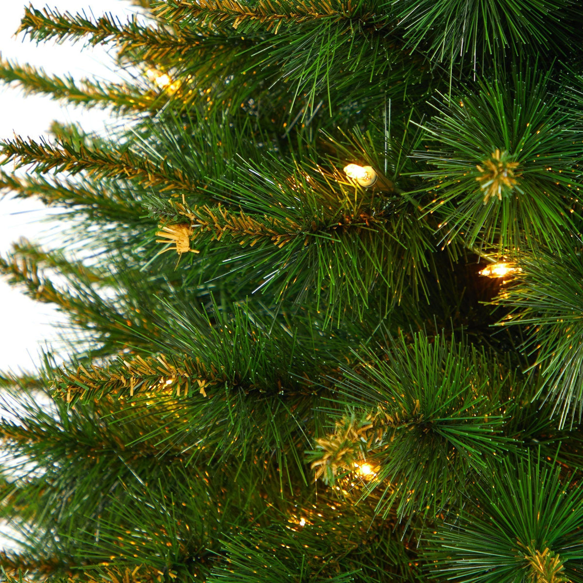 a close up of a christmas tree