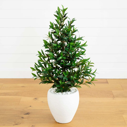 a plant in a pot