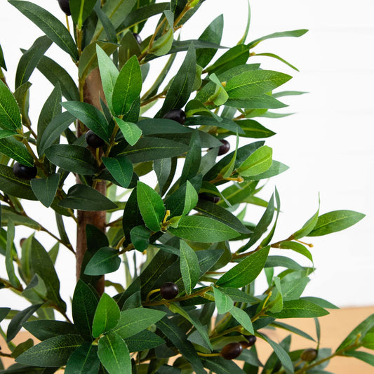 a close up of a plant