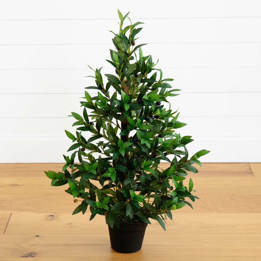 a small potted plant on a wood floor