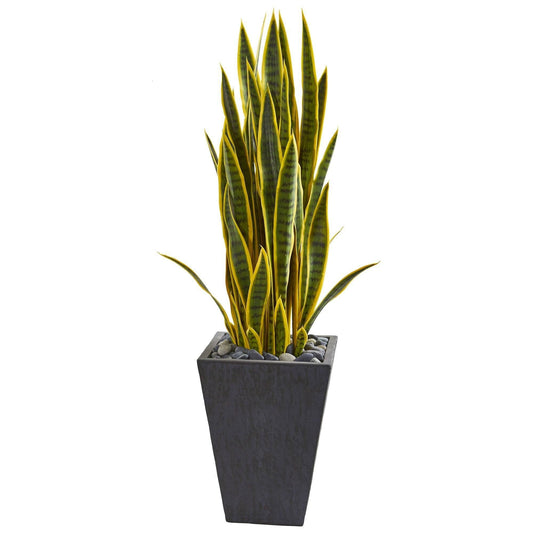 a plant in a pot
