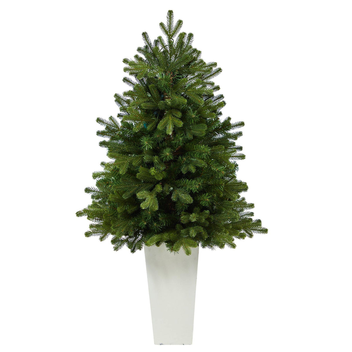 a tree in a white pot
