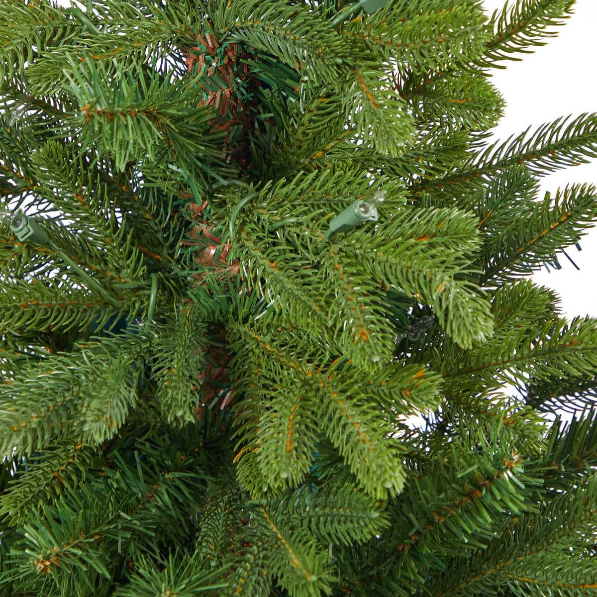 a close up of a christmas tree