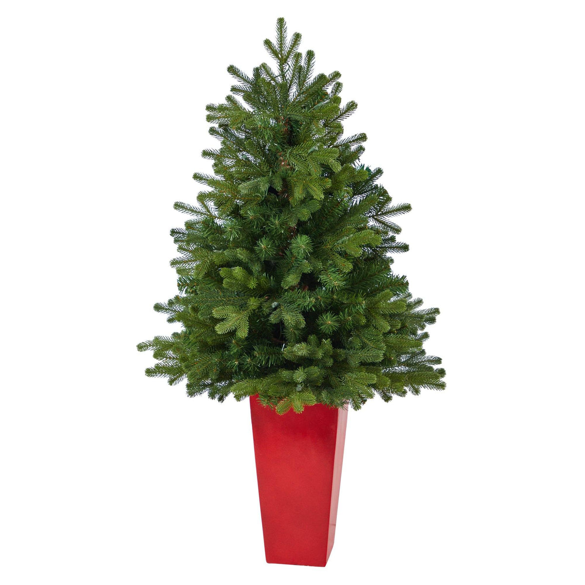 a tree in a red pot