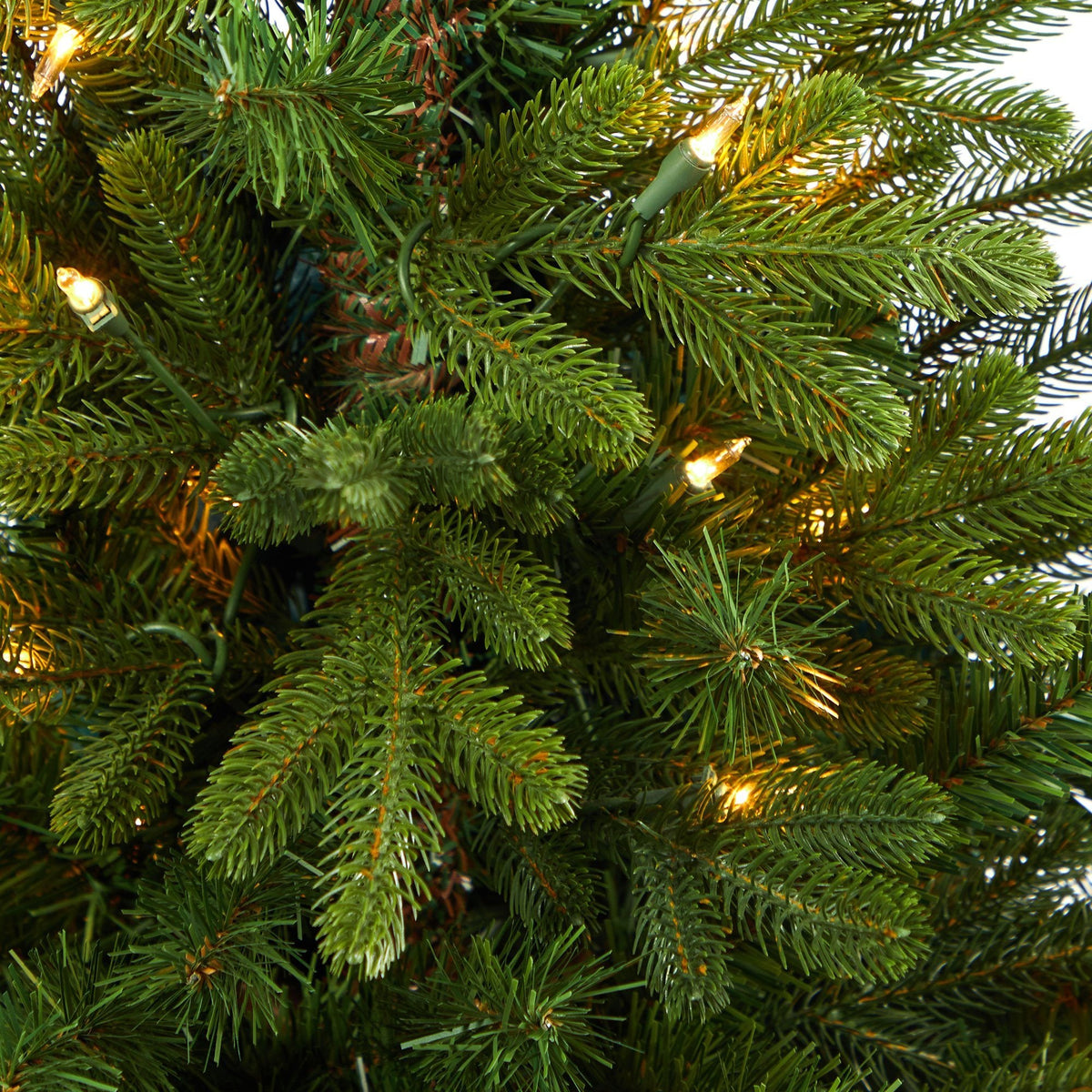 a close up of a christmas tree