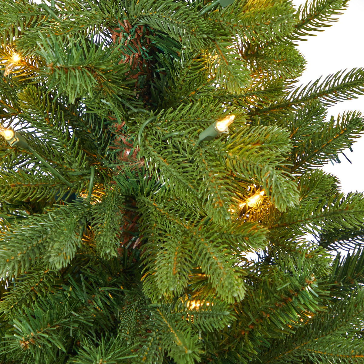 a close up of a christmas tree