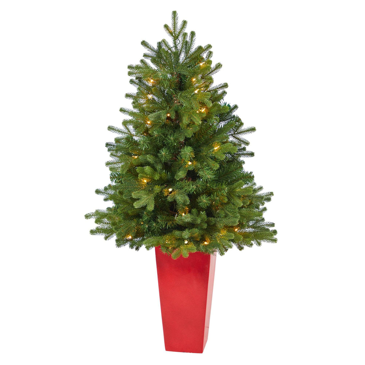 a tree in a red pot