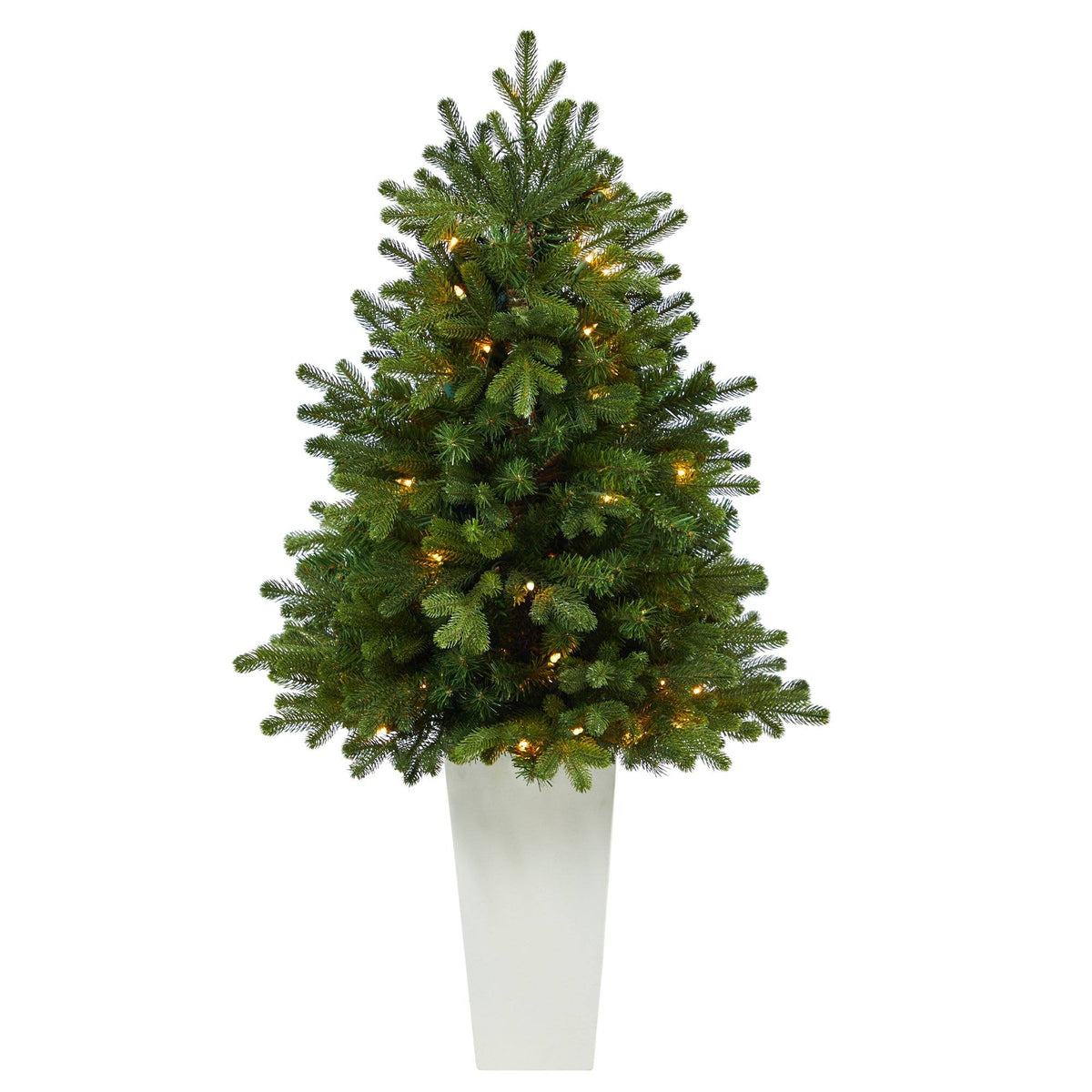 a tree in a white pot