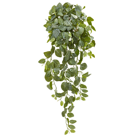 a green plant with white spots