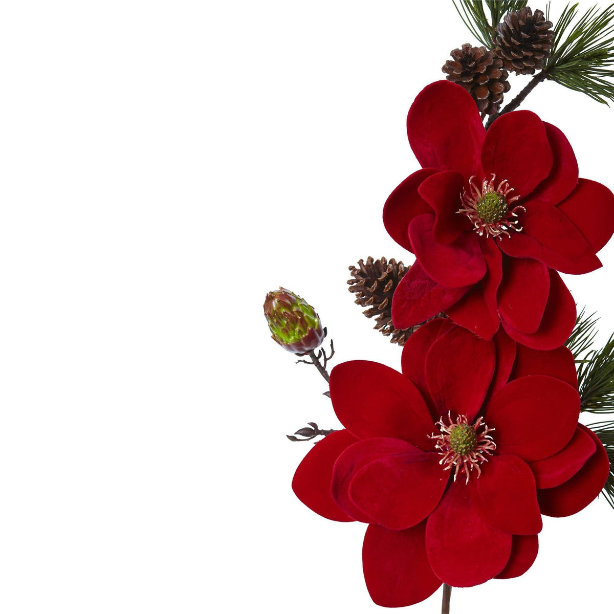 a group of red flowers and pine cones