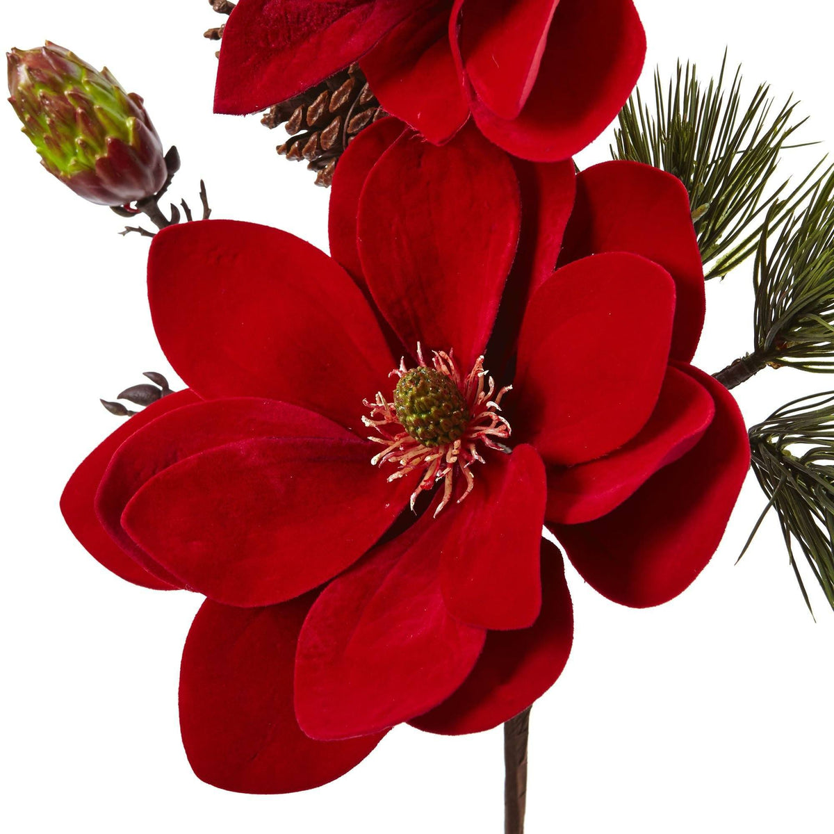 a red flower with green leaves and pine cones