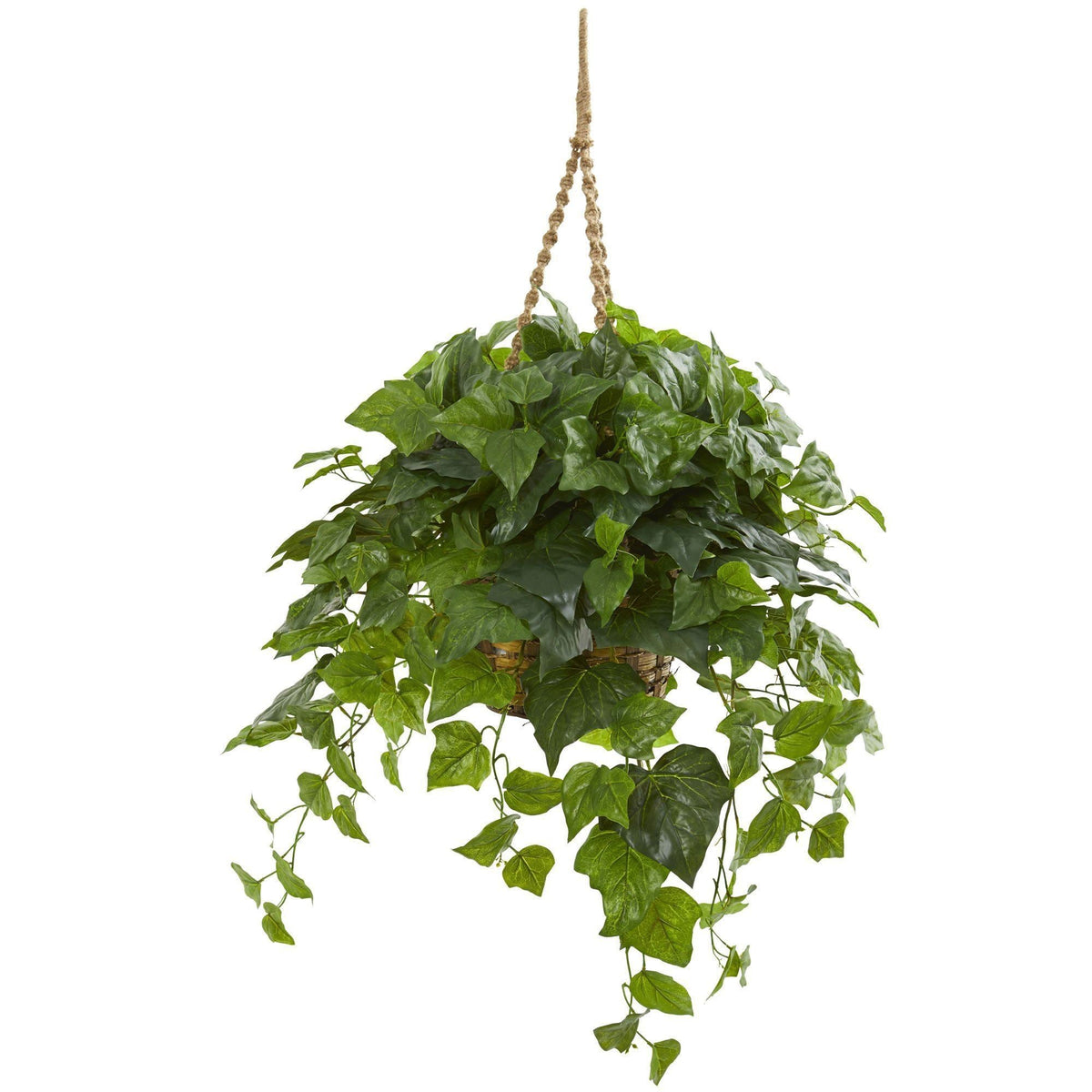 a plant from a rope