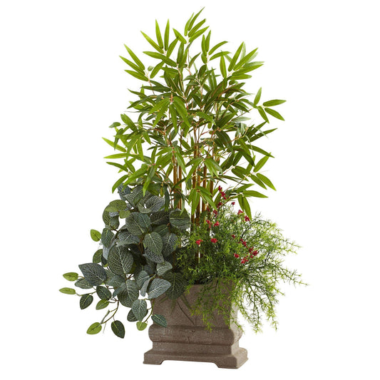 38” Mixed Mini Bamboo, Fittonia & Springeri w/Planter
