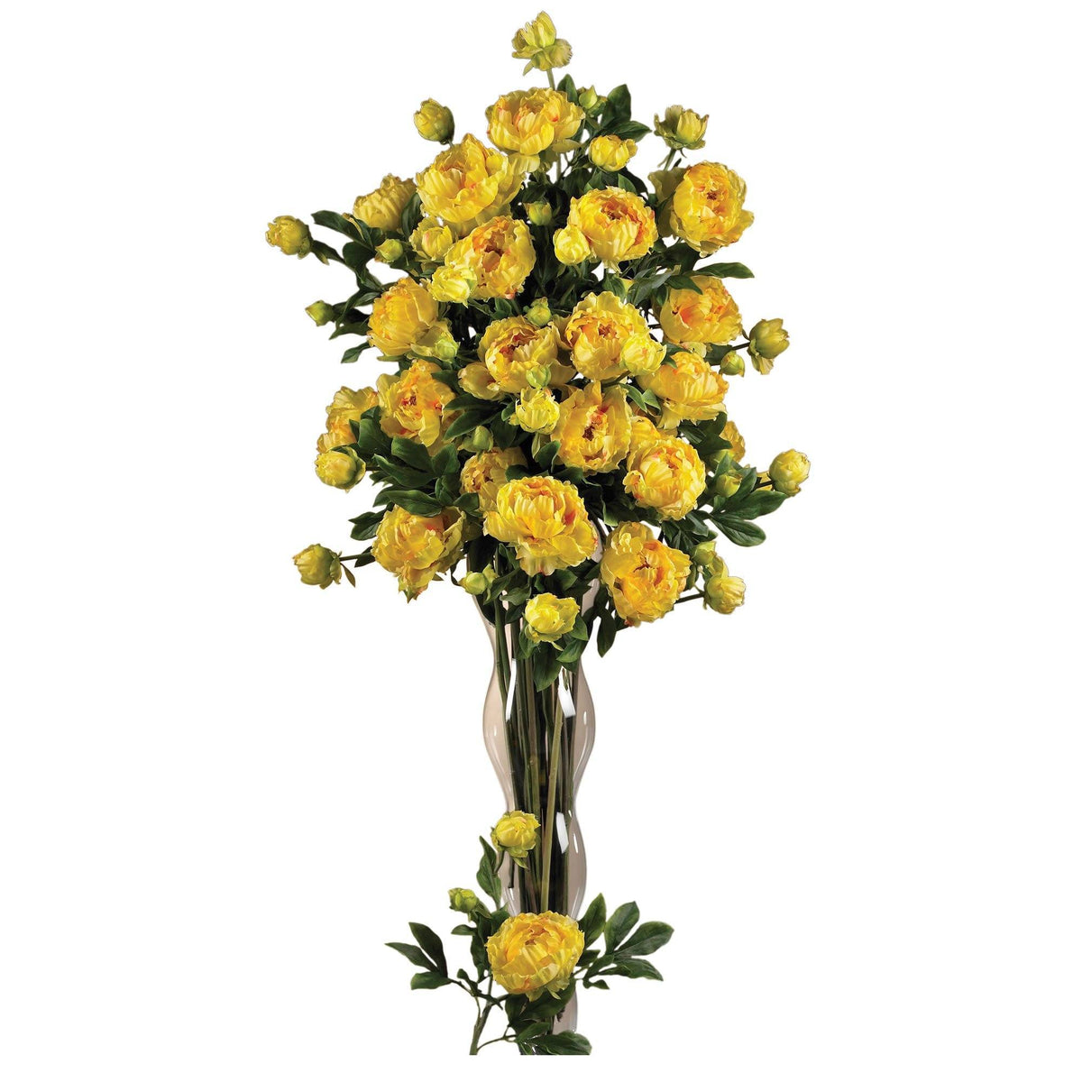 a yellow flowers in a vase