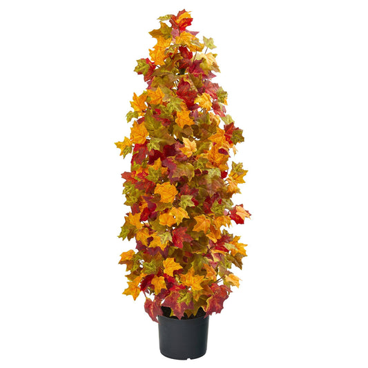 a potted plant with colorful leaves