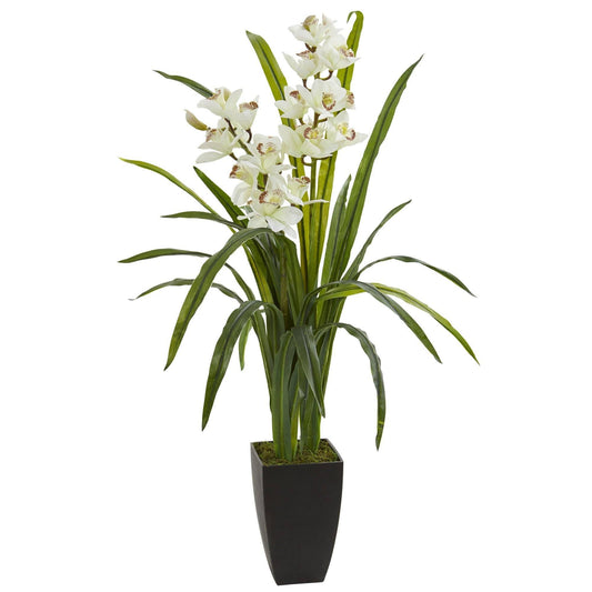 a plant in a pot