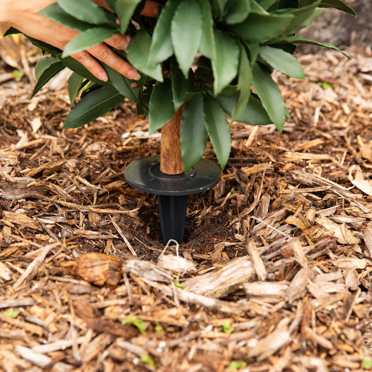 3' UV Resistant Artificial Laurel Plant with Integrated Ground Stake (Indoor/Outdoor)