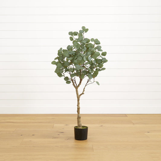 a small tree in a pot
