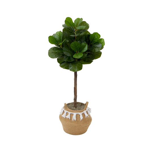 a potted plant with a white and white ribbon