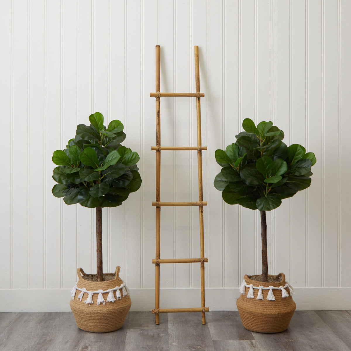 two plants in pots next to a ladder