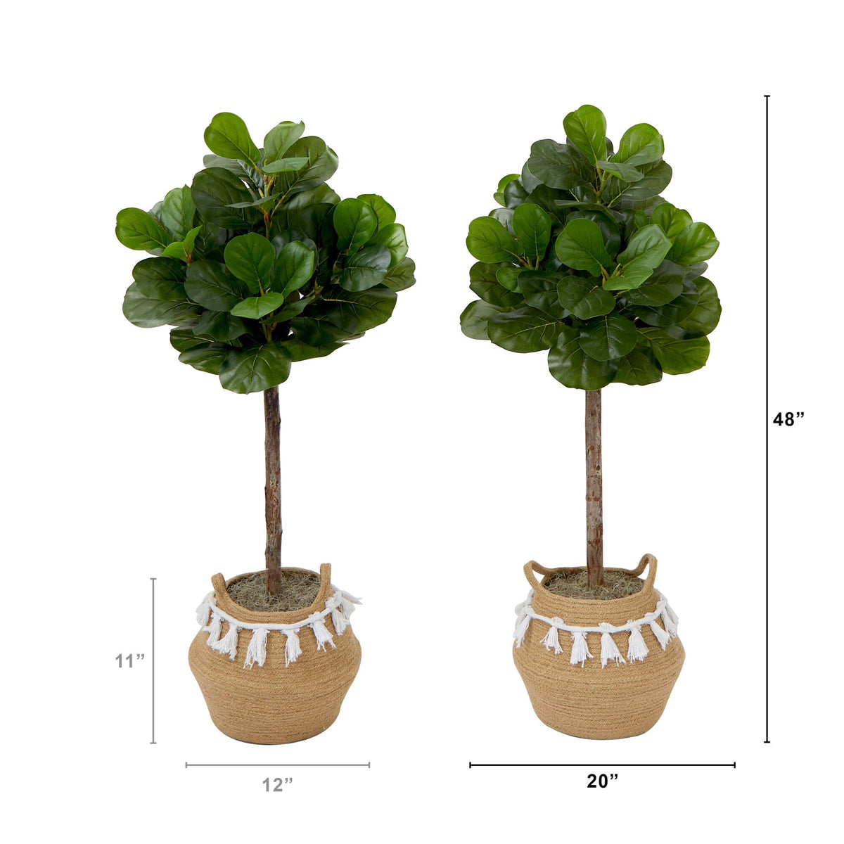 a pair of plants in pots