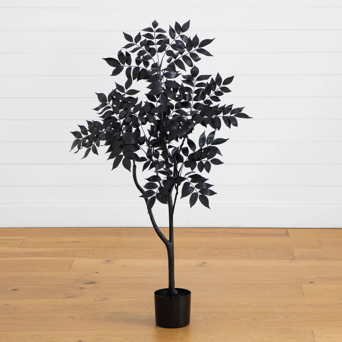 a black plant in a pot