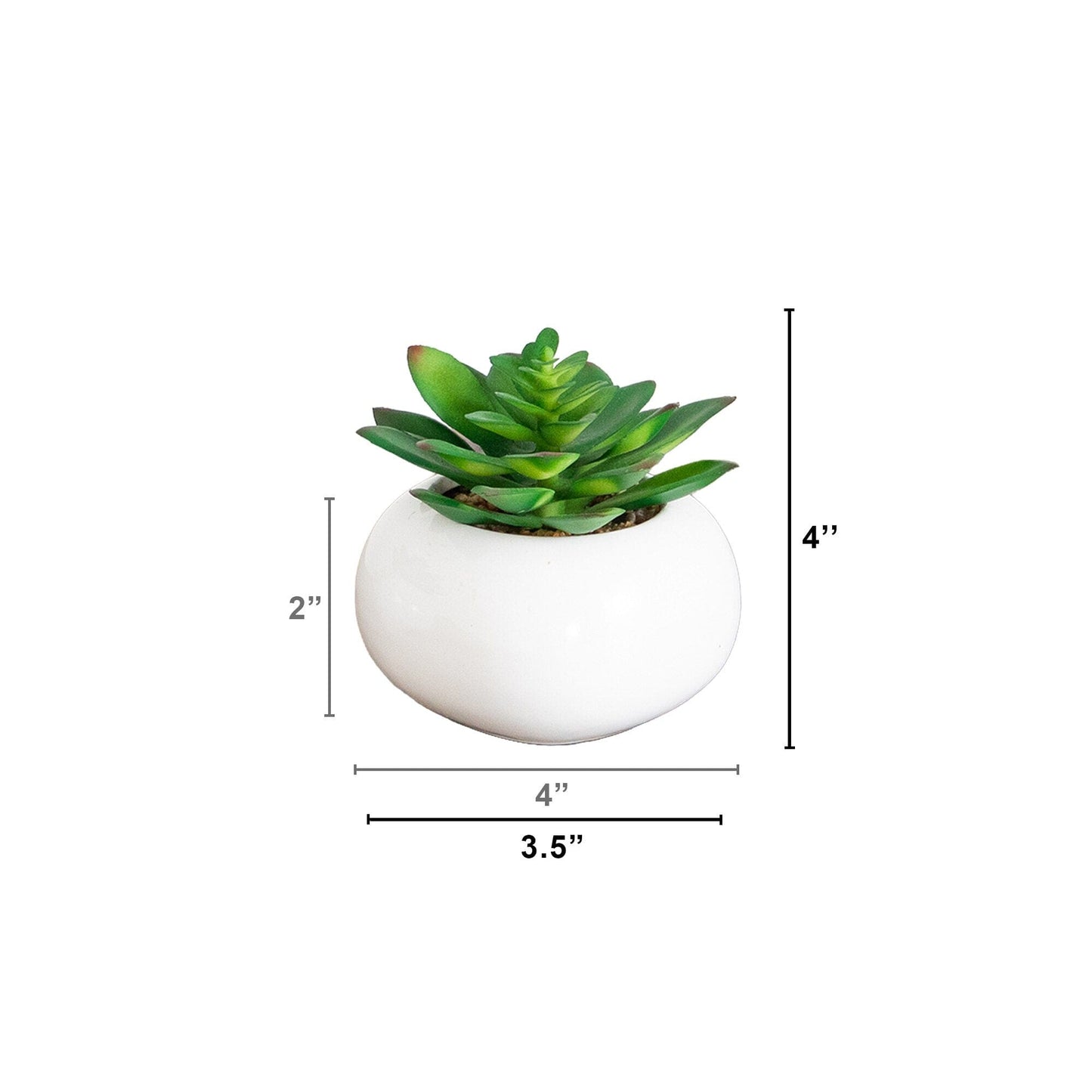 4" Artificial Mini Succulent in Ceramic White Planter -Set of 3