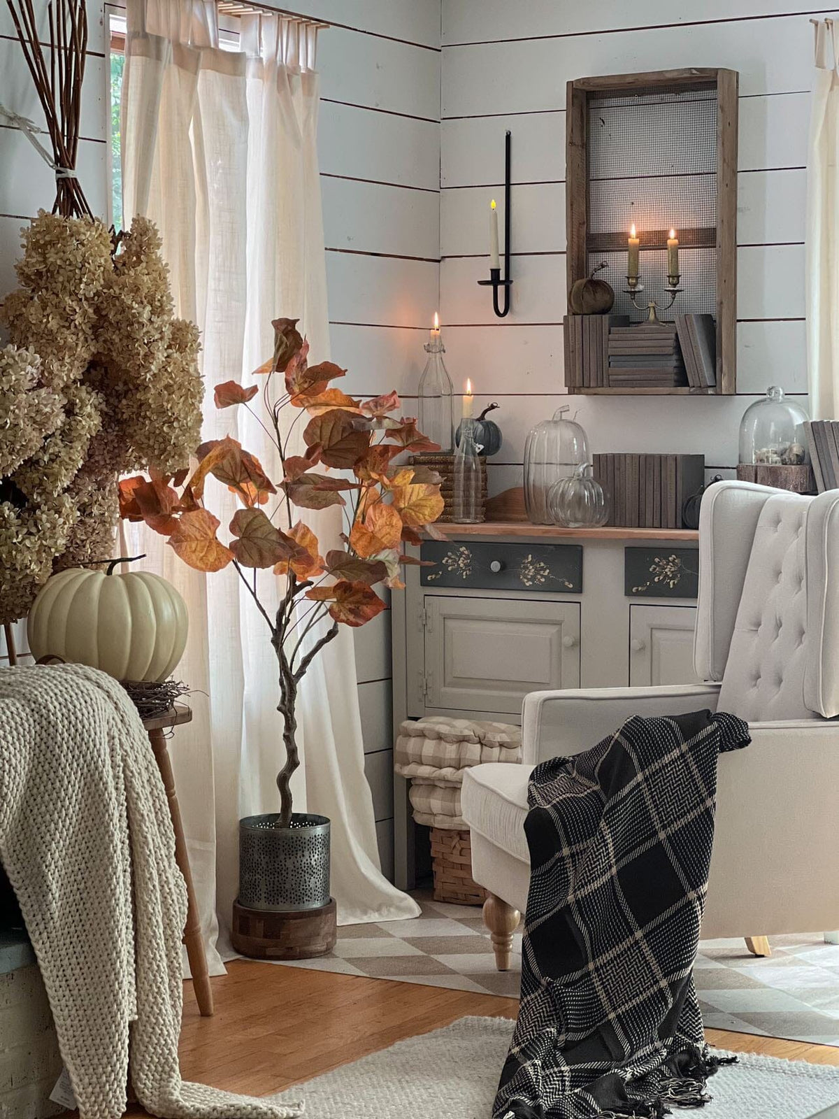 a room with a plant and a white chair