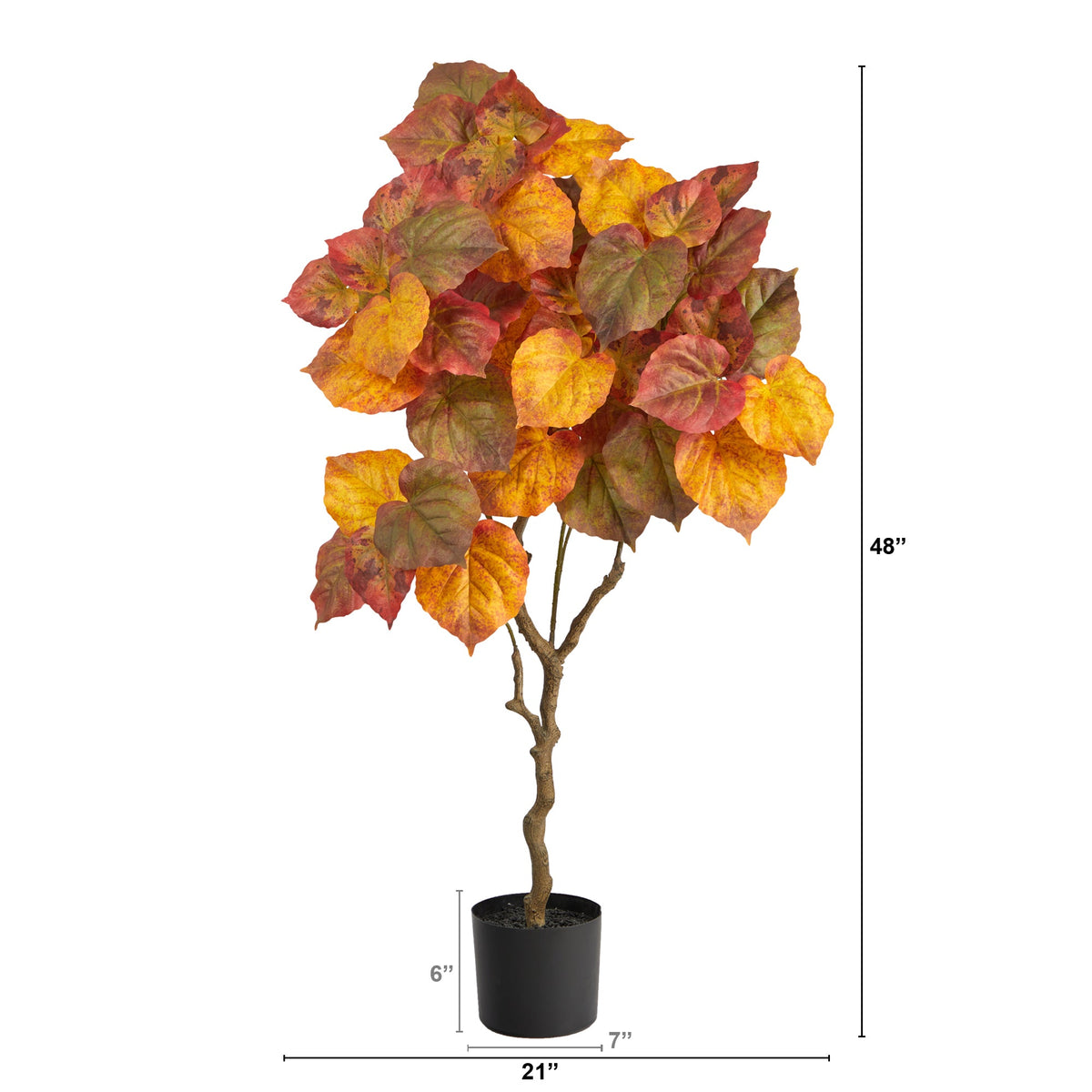 a potted plant with leaves