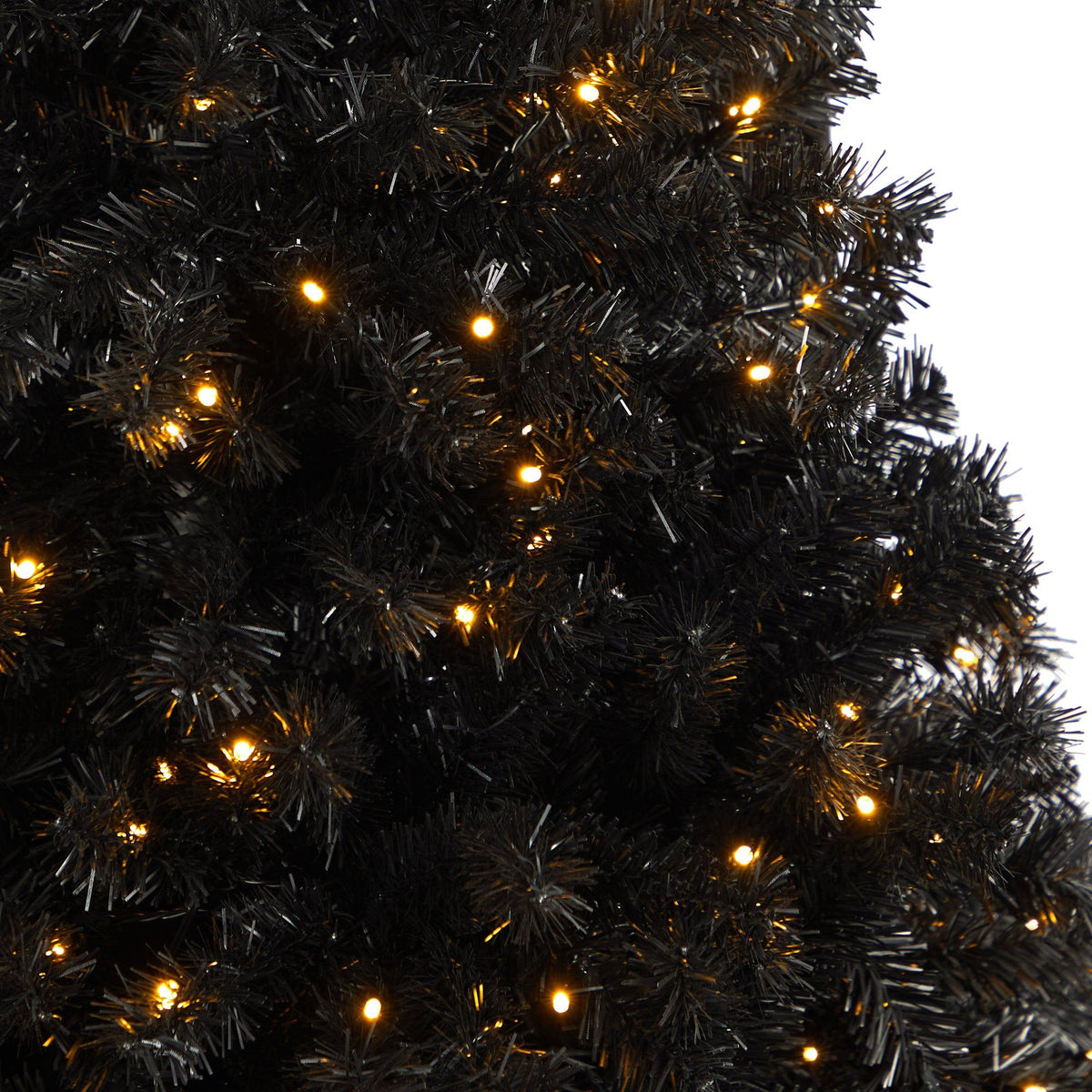 a close up of a tree
