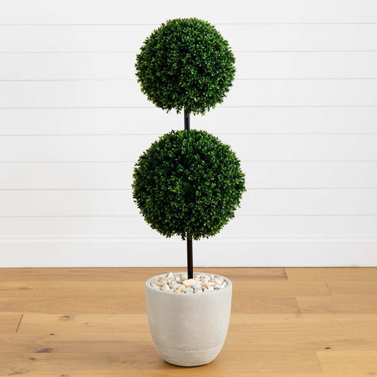 a plant in a pot