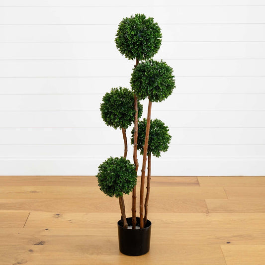 a plant in a pot