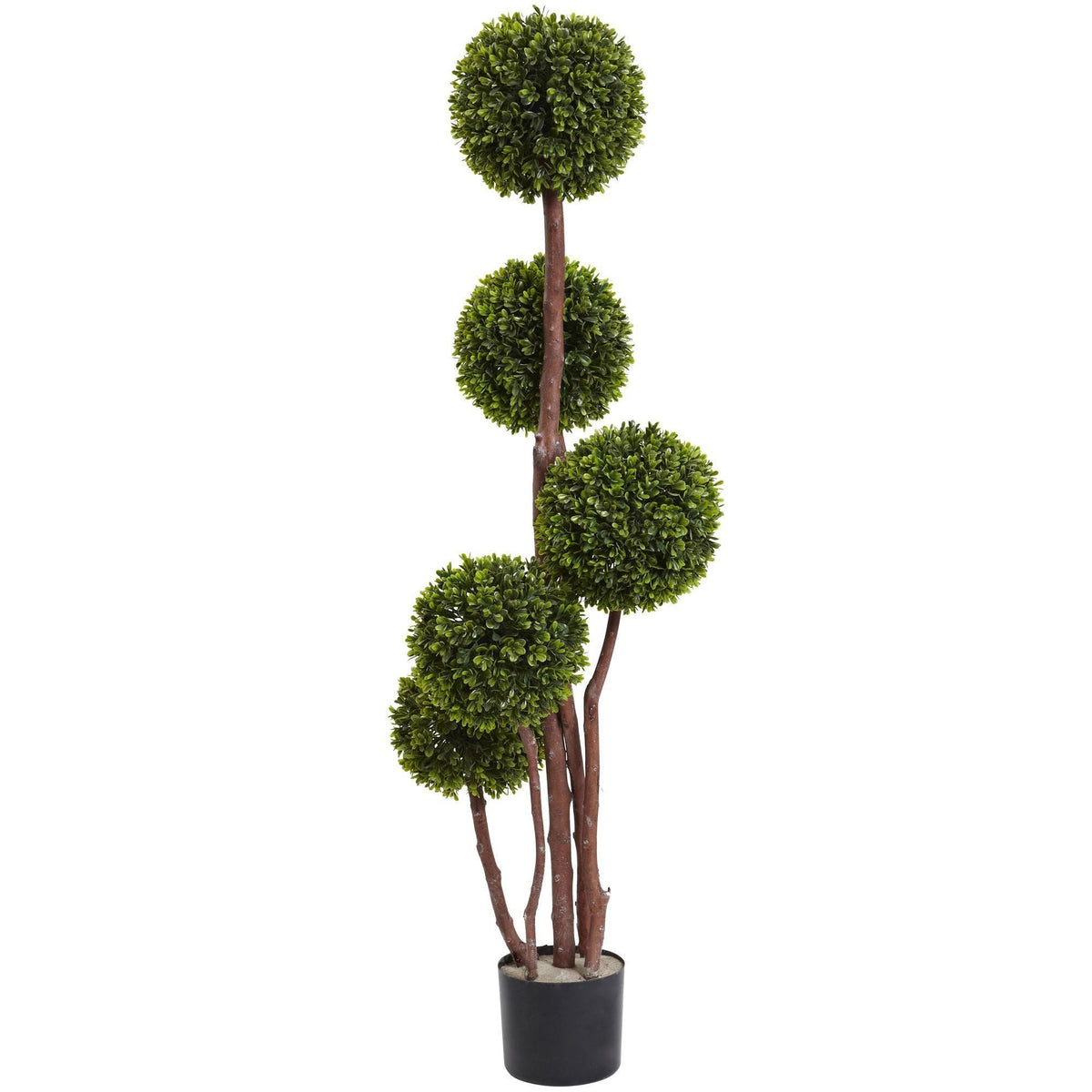 a plant in a pot