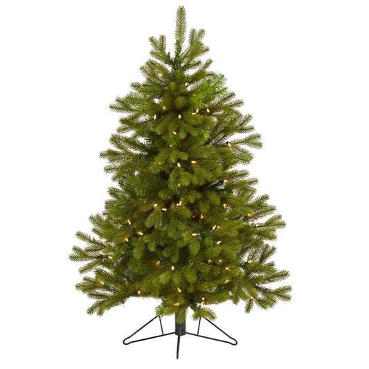 a christmas tree with lights