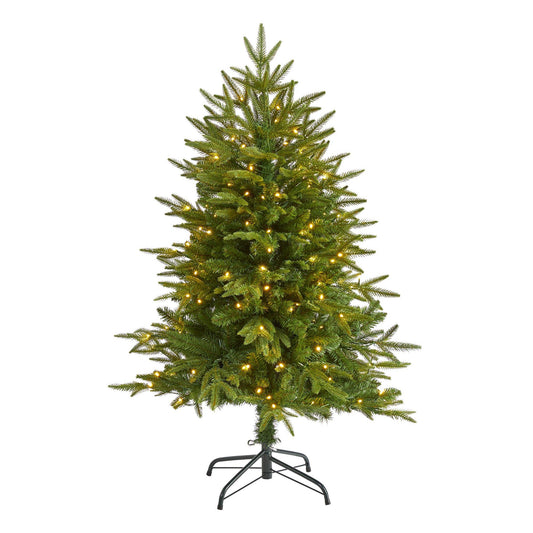 a christmas tree with lights