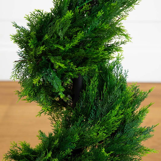 a green plant on a table