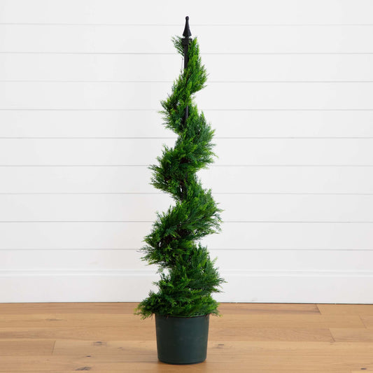 a plant in a pot