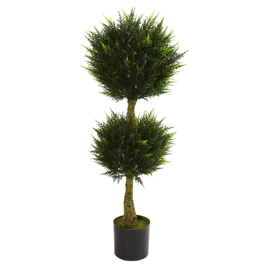 a tree in a pot