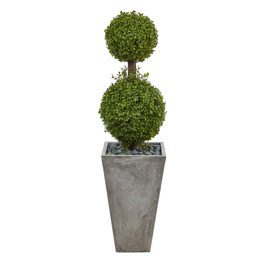 a plant in a pot