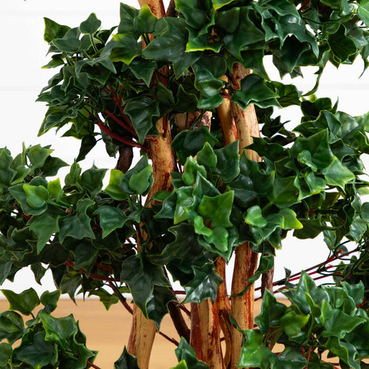 a close up of a plant