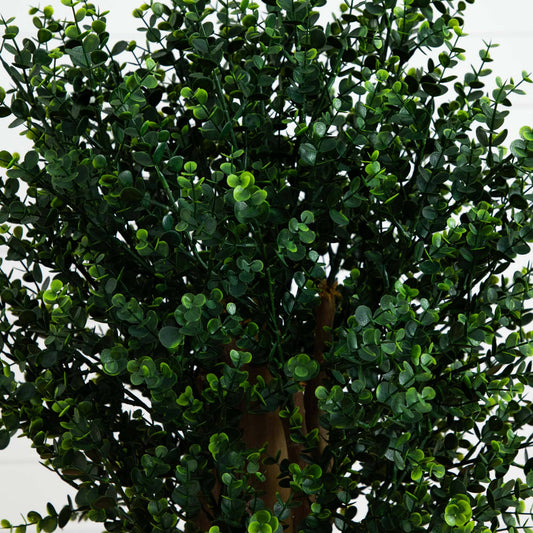 a green plant with small leaves