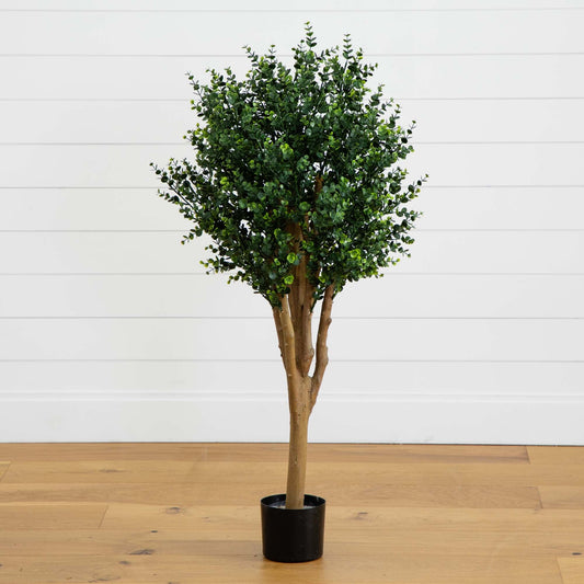 a tree in a pot
